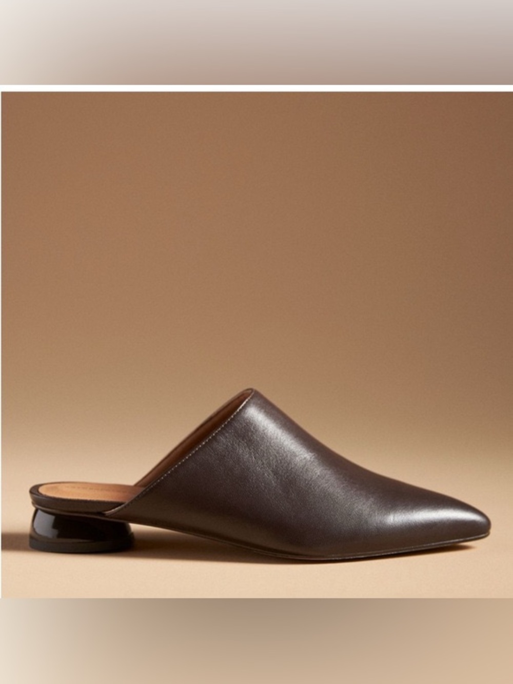 Anthropologie Dark Brown Pointed Leather Mule